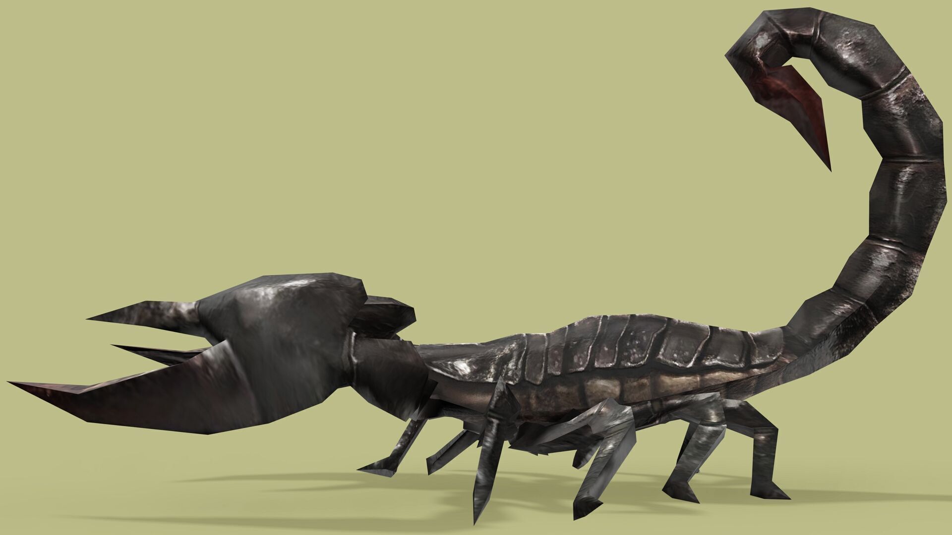 SCORPION RIGGED ANIMATED 4 Low-poly 3D model_5