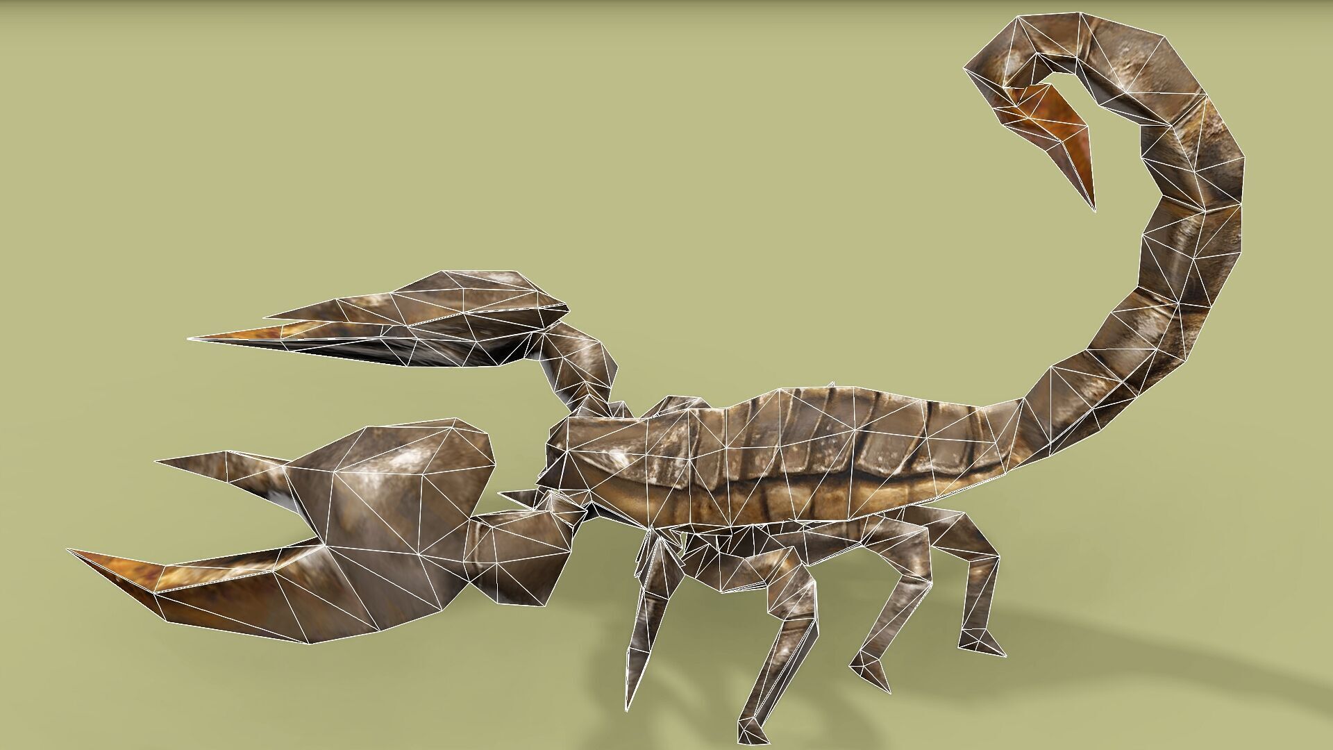 SCORPION RIGGED ANIMATED 4 Low-poly 3D model_10