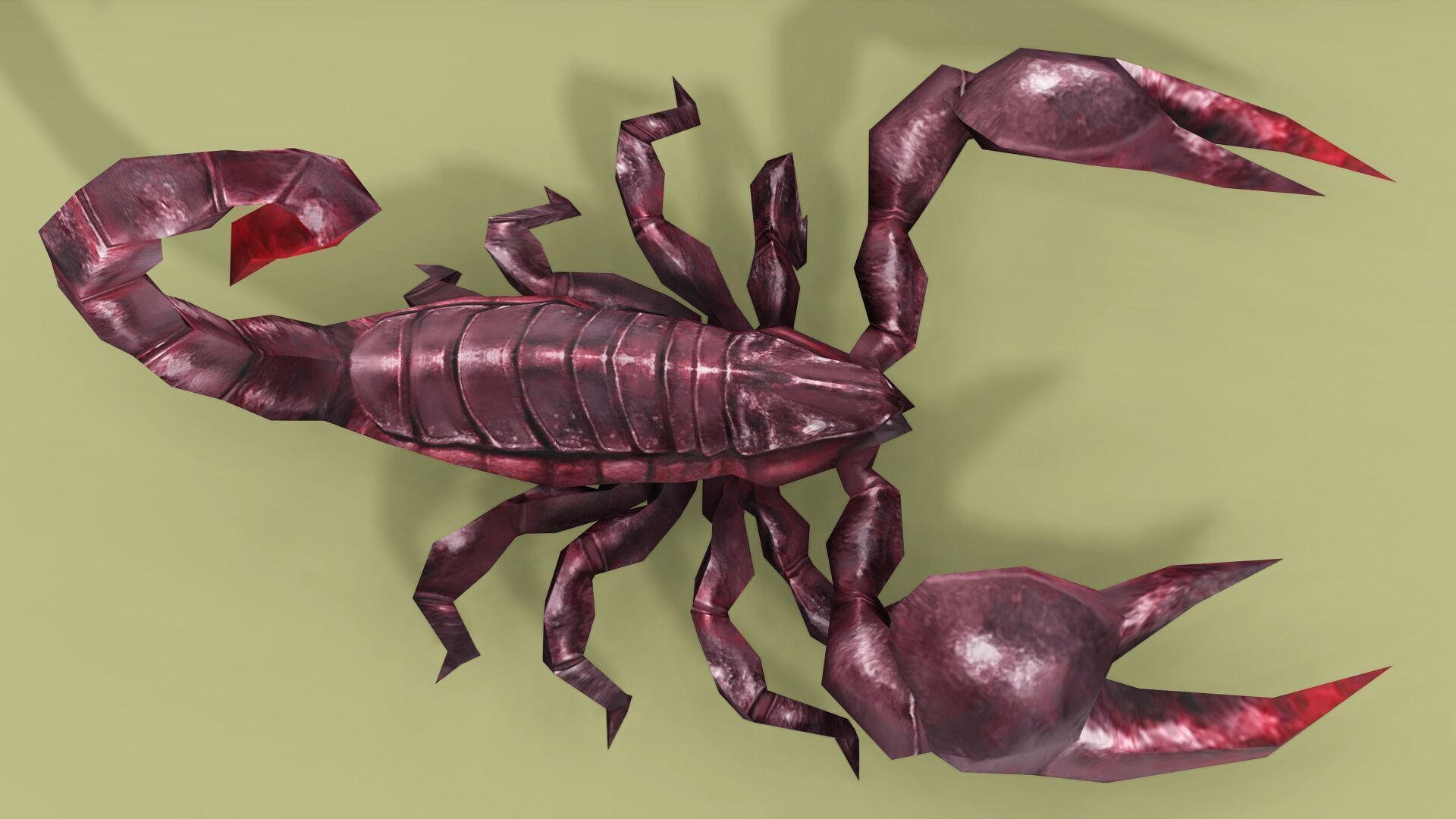 SCORPION RIGGED ANIMATED 4 Low-poly 3D model_7