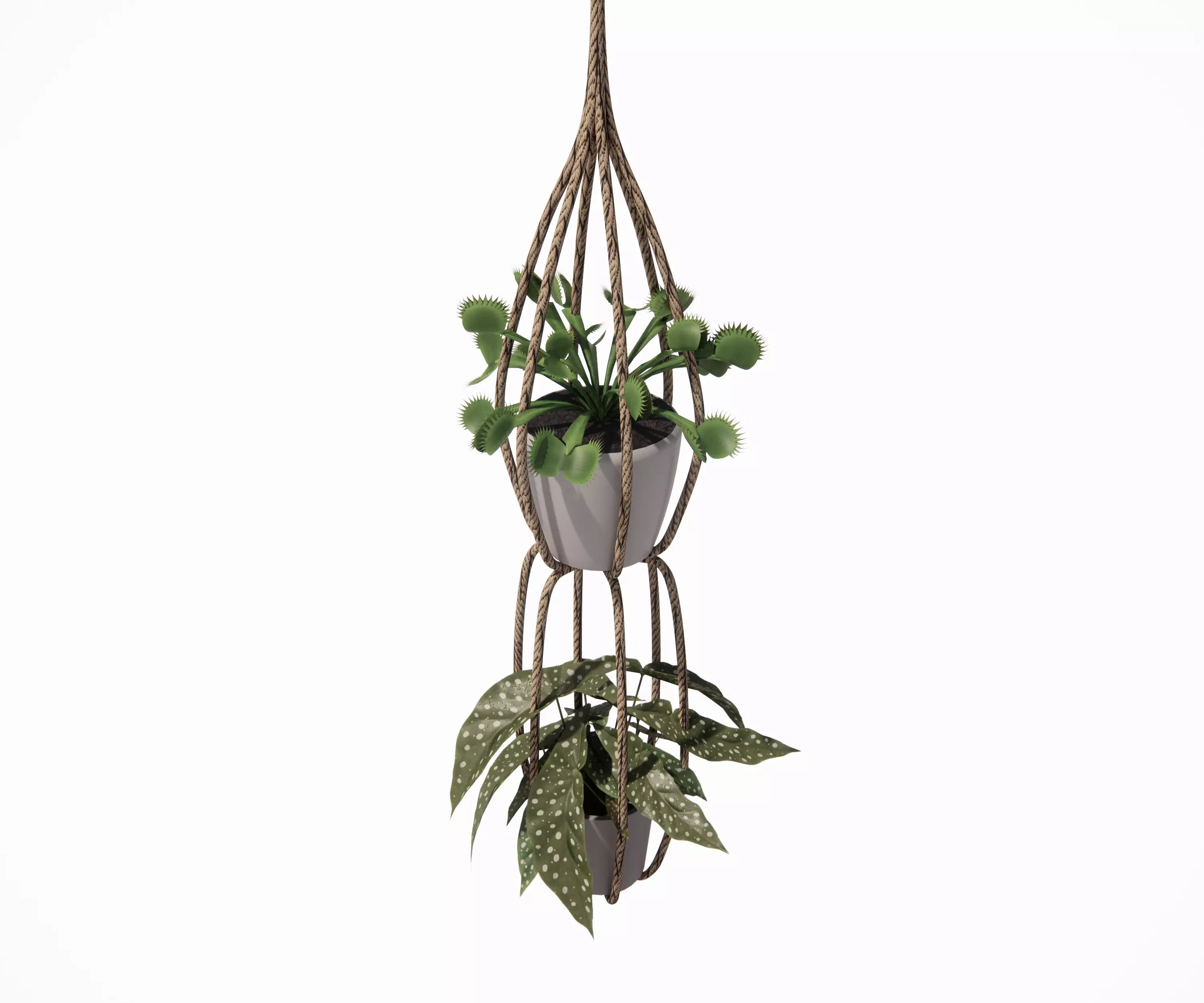Hanging Planter Rope 3D model | CGTrader