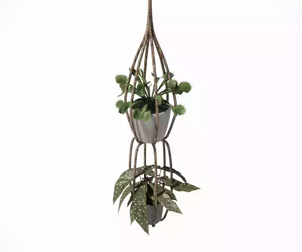 Hanging Planter Rope 3D model