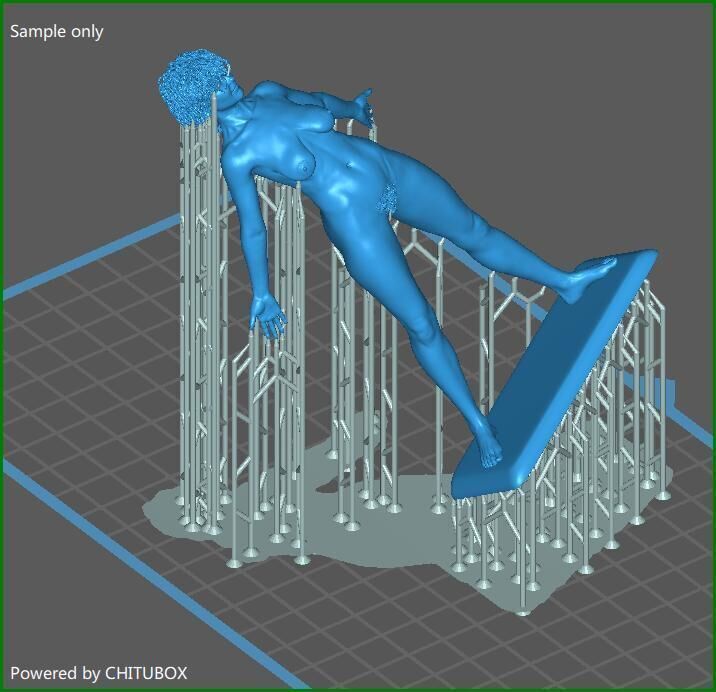 Chode 3D print model_7