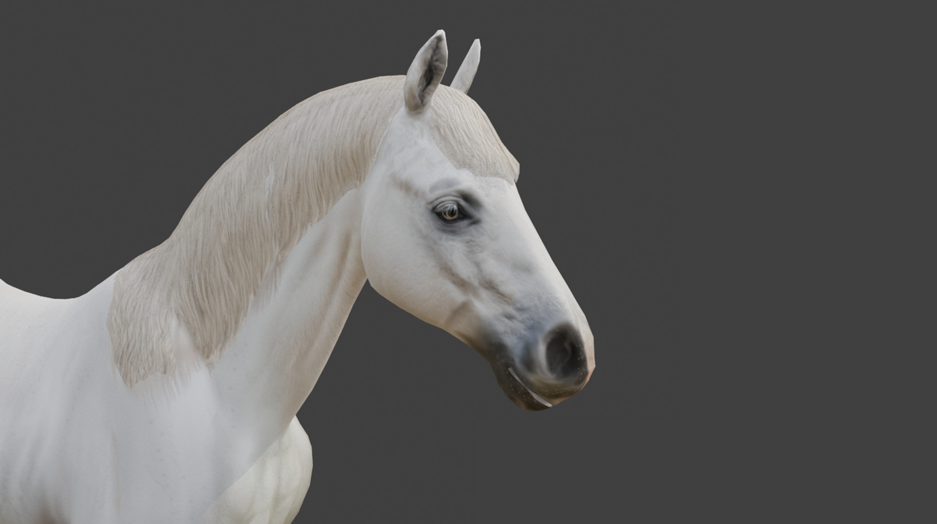 3D Model Running White Horse Low-poly 3D model_19
