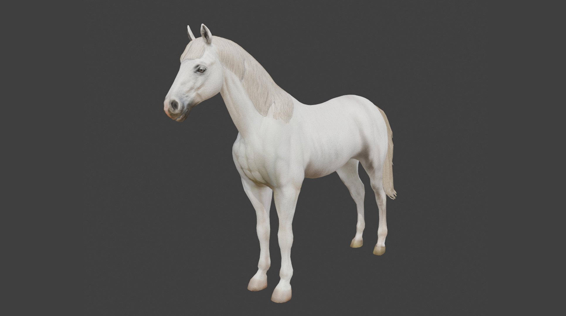  3D Model Running White Horse Low-poly 3D model_9