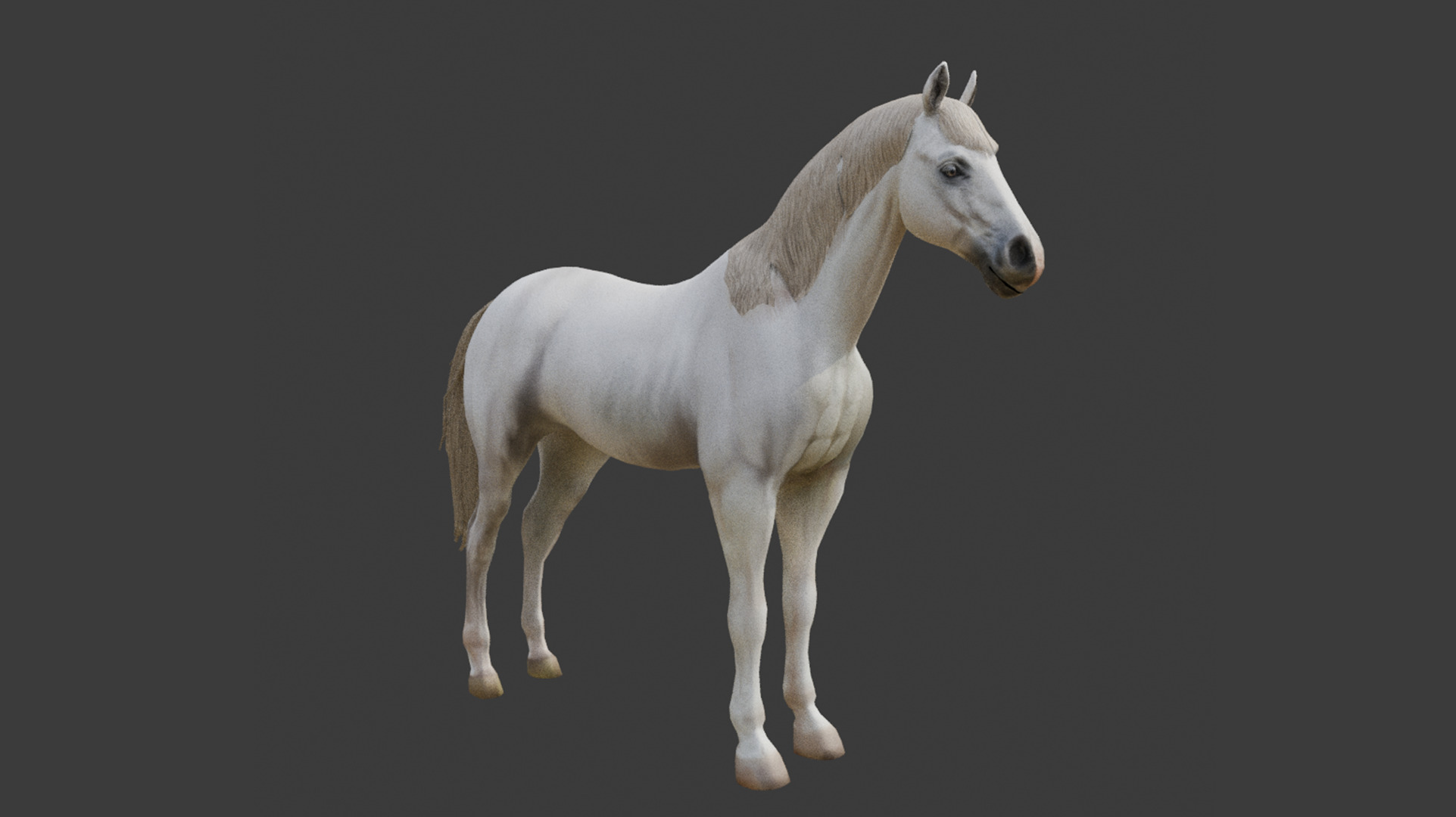  3D Model Running White Horse Low-poly 3D model_15