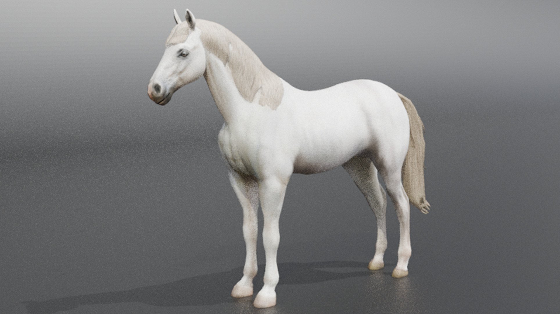 3D Model Running White Horse Low-poly 3D model_20