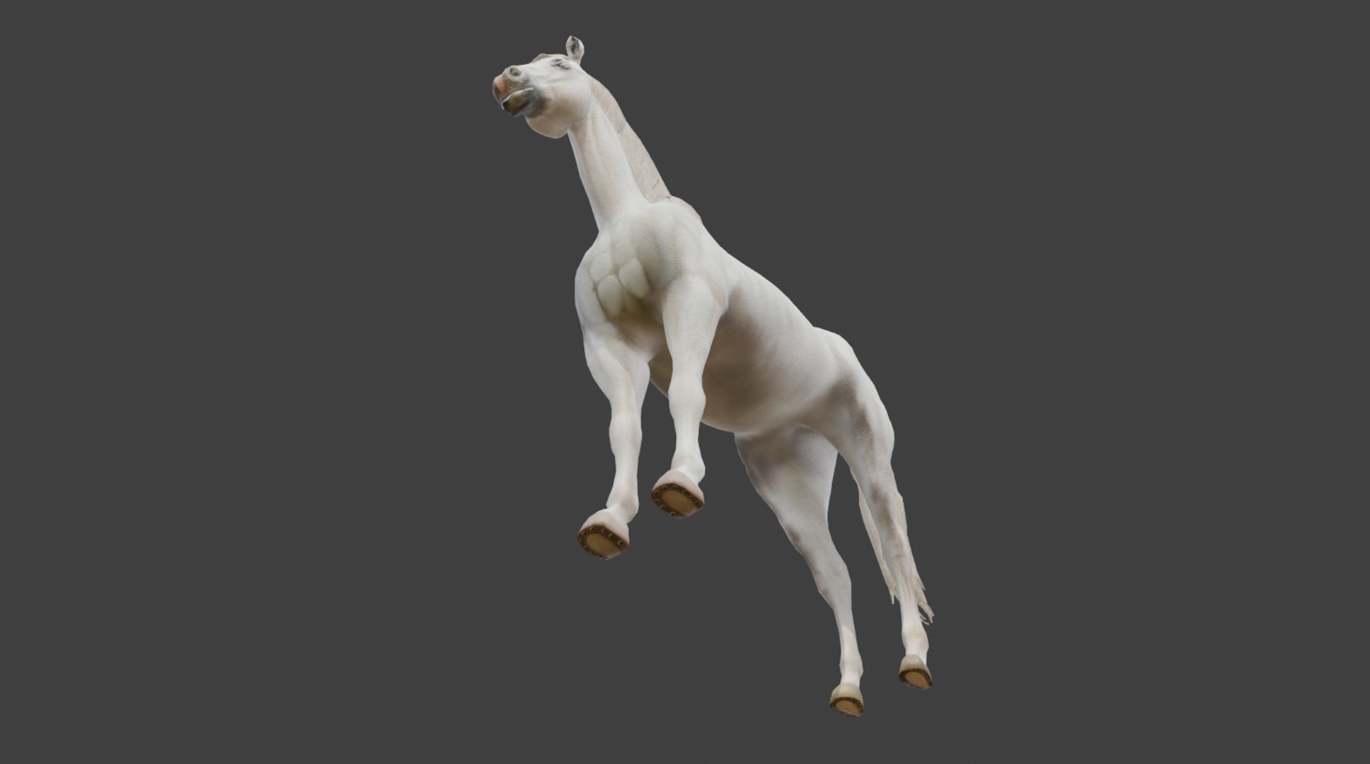  3D Model Running White Horse Low-poly 3D model_17