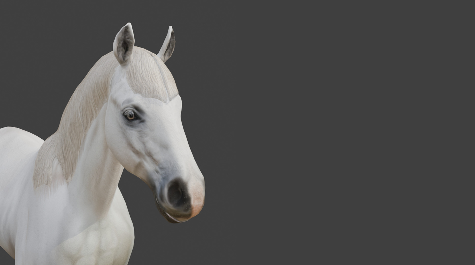  3D Model Running White Horse Low-poly 3D model_18