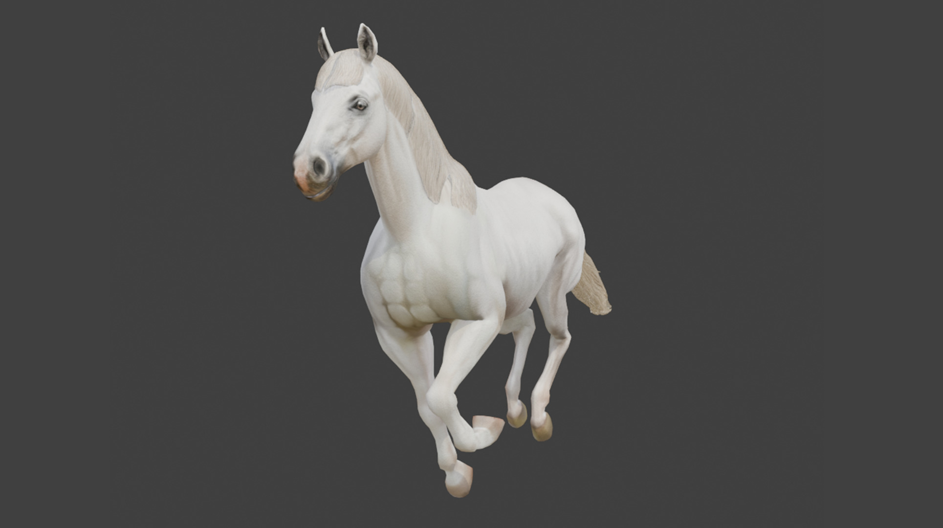  3D Model Running White Horse Low-poly 3D model_8