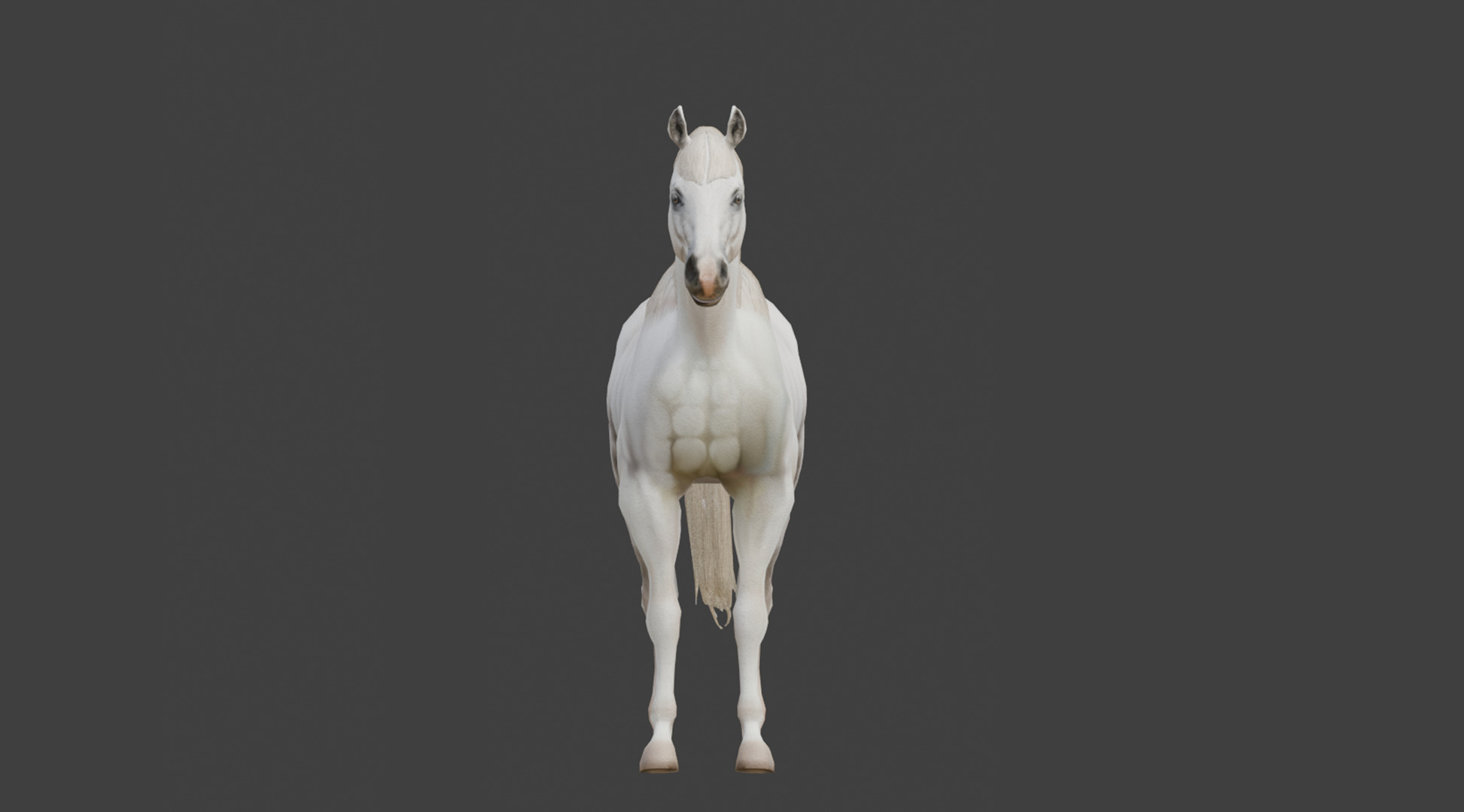  3D Model Running White Horse Low-poly 3D model_11