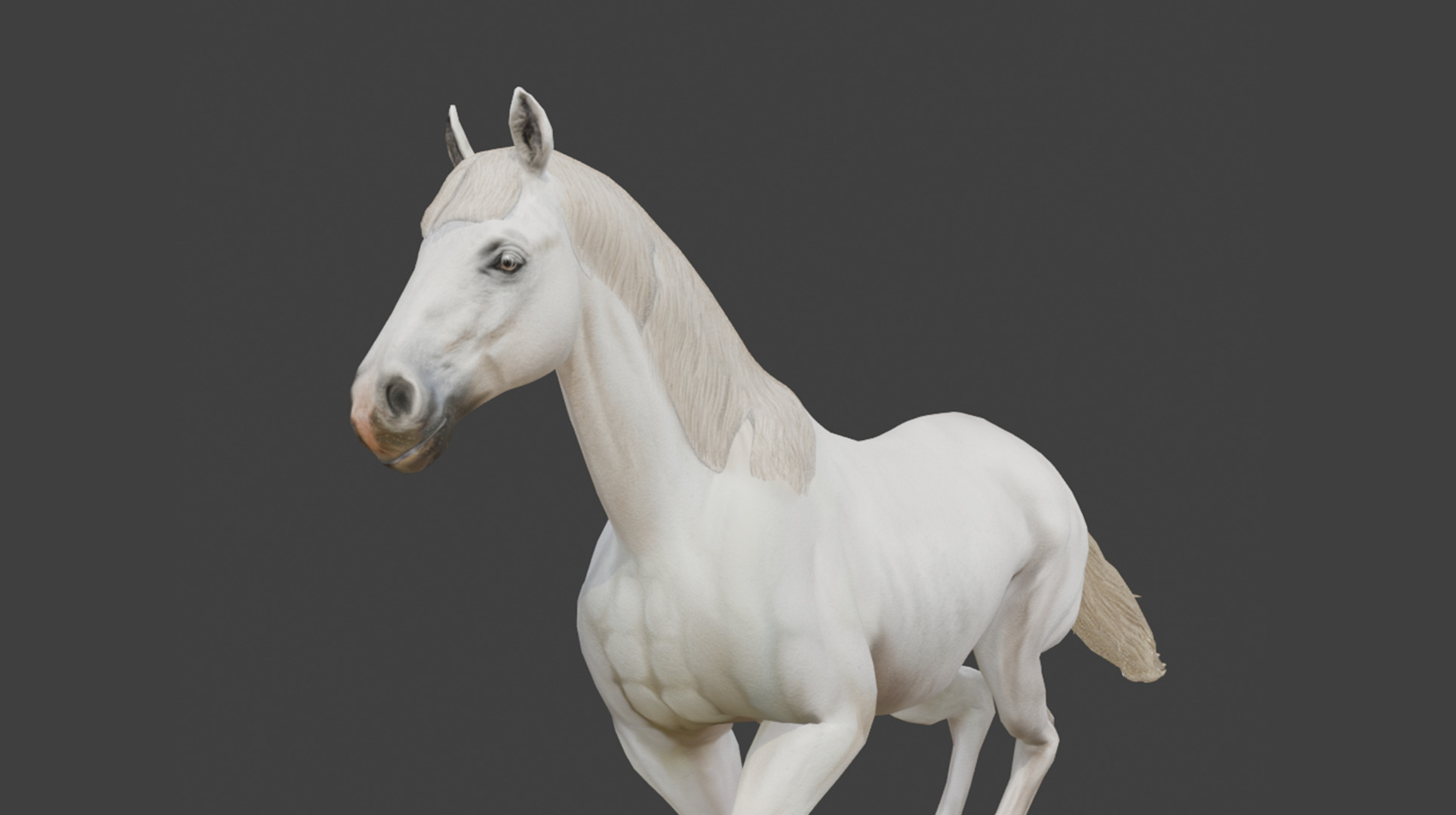  3D Model Running White Horse Low-poly 3D model_13