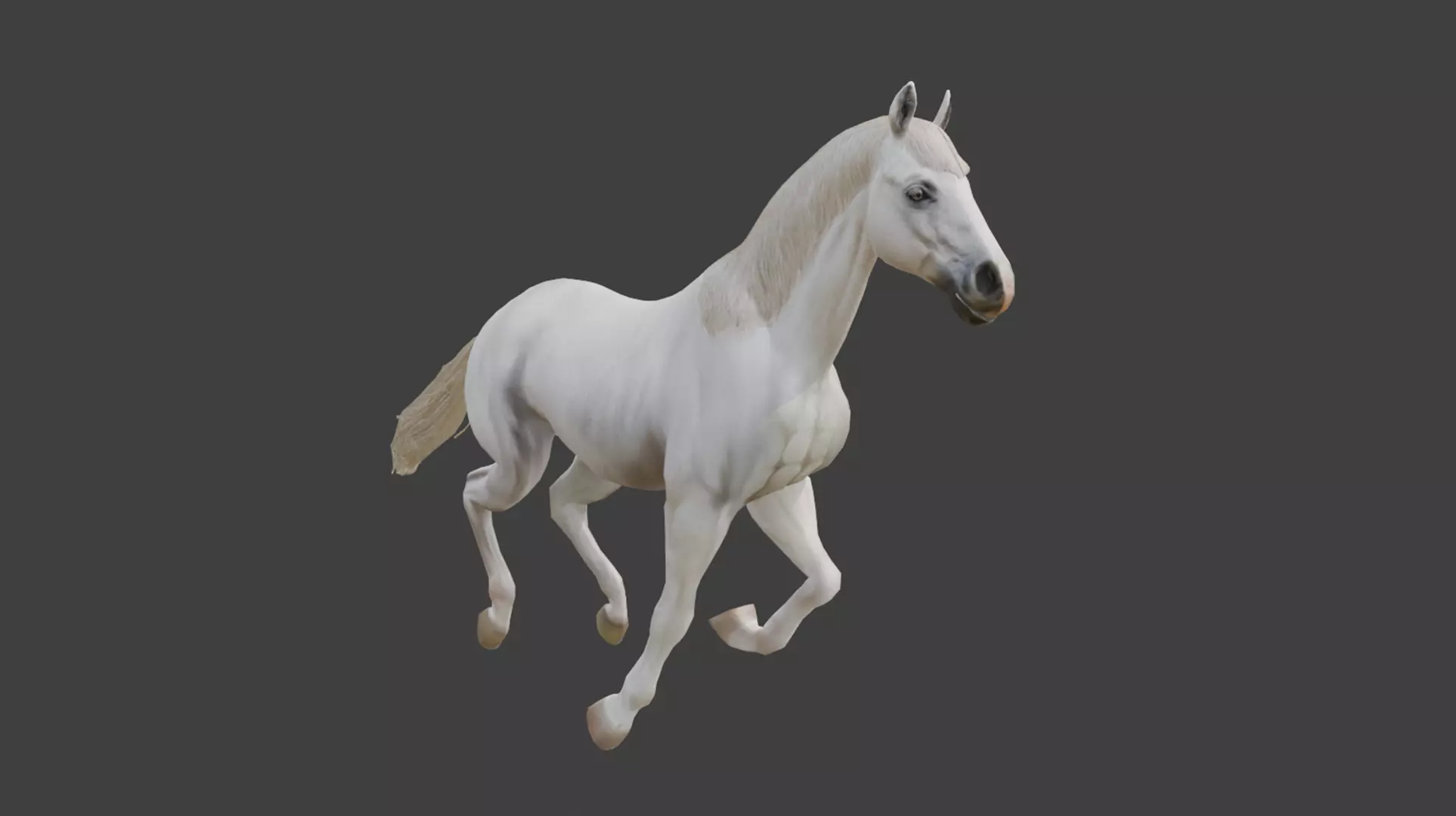  3D Model Running White Horse Low-poly 3D model_0