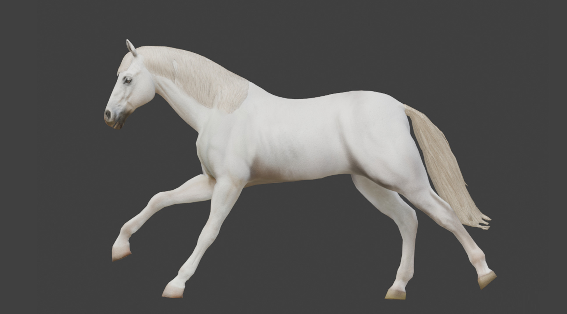  3D Model Running White Horse Low-poly 3D model_3