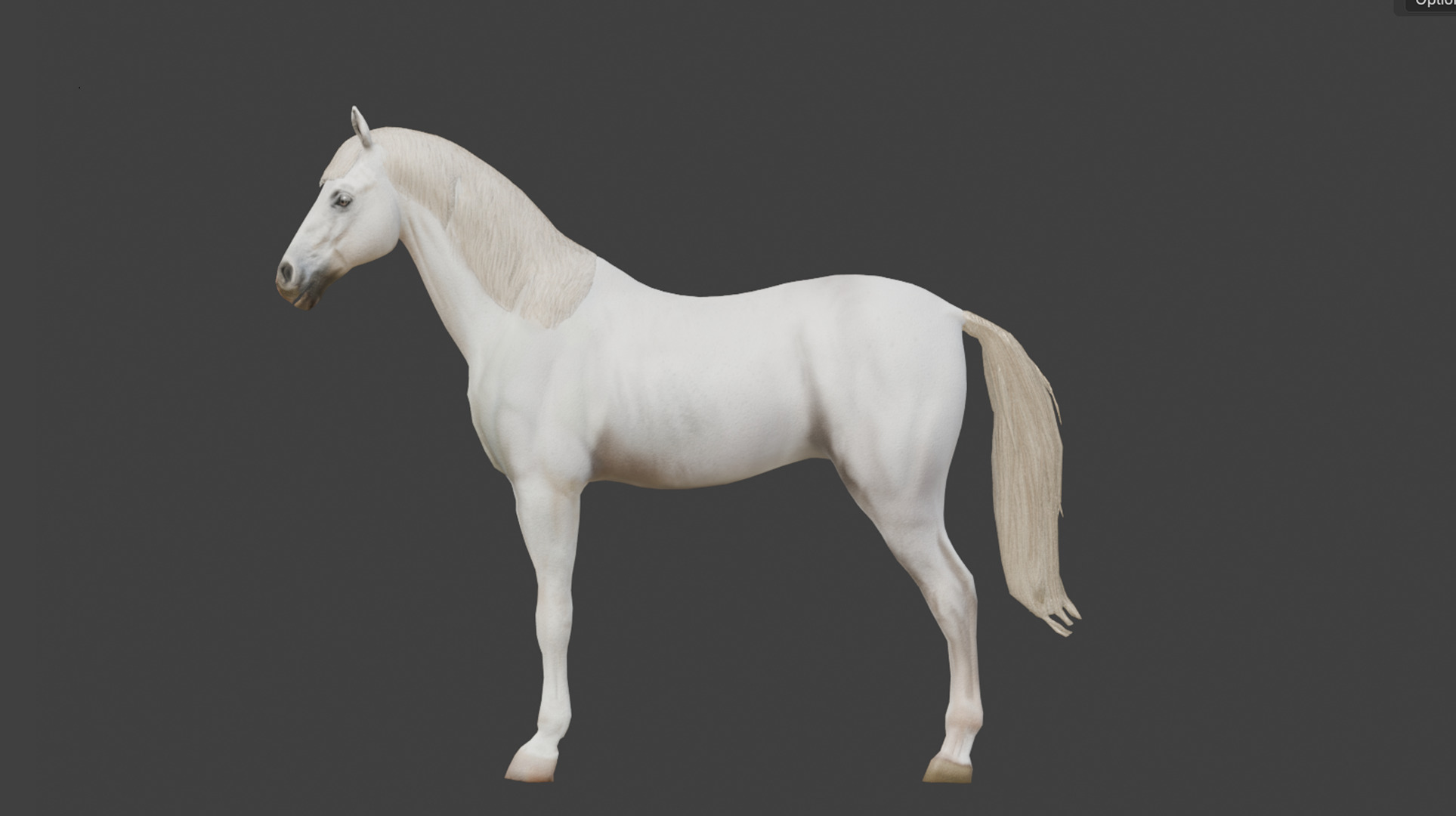  3D Model Running White Horse Low-poly 3D model_14