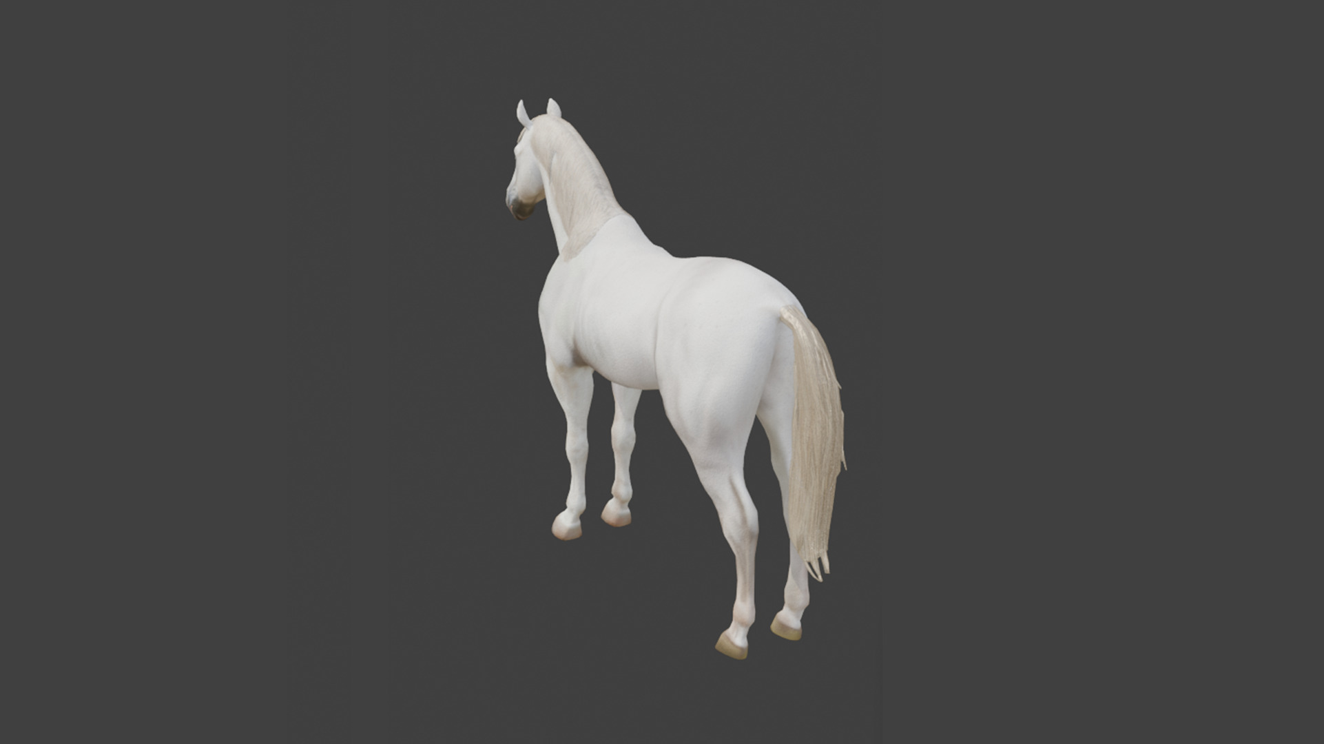  3D Model Running White Horse Low-poly 3D model_12