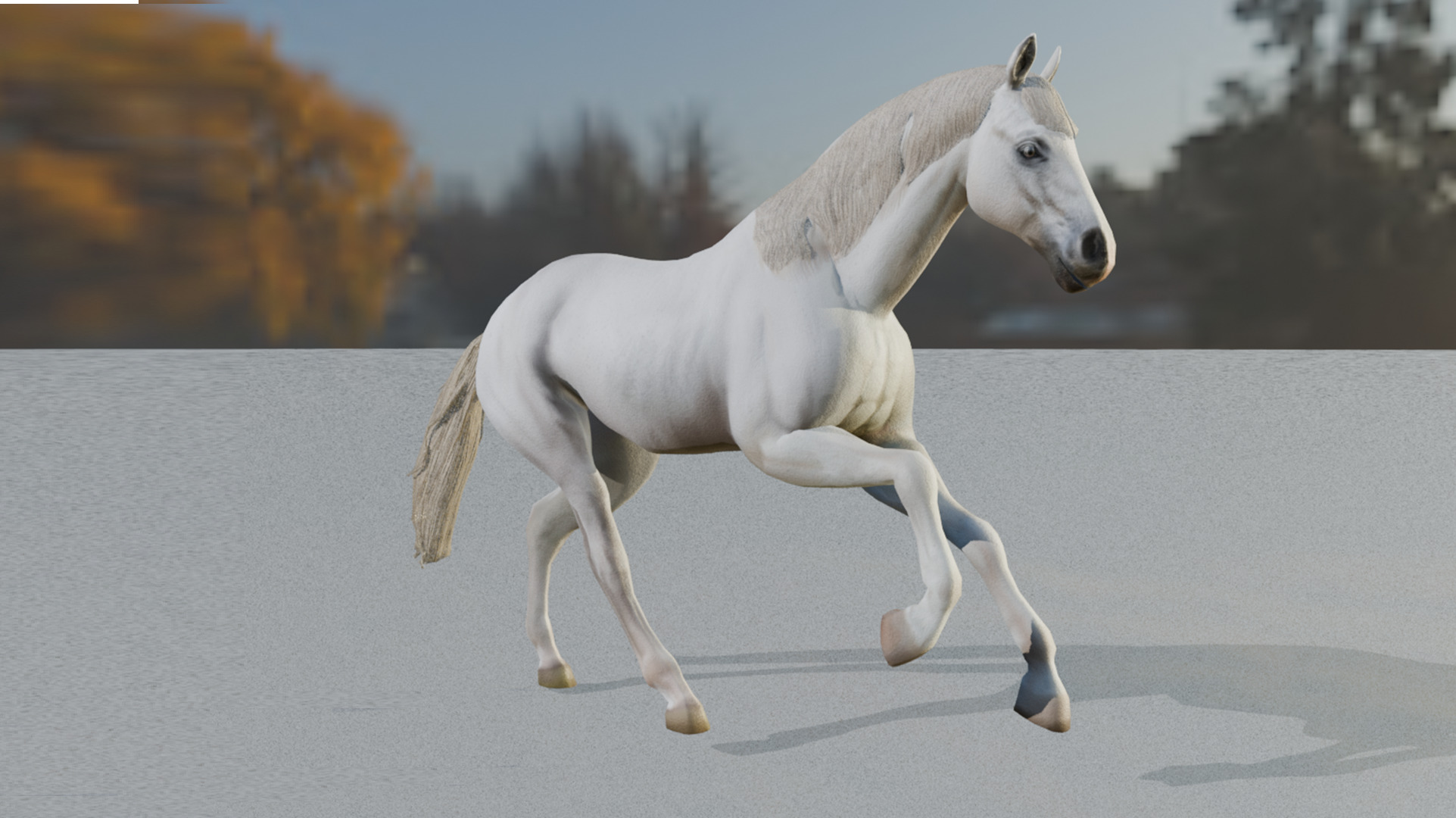  3D Model Running White Horse Low-poly 3D model_24