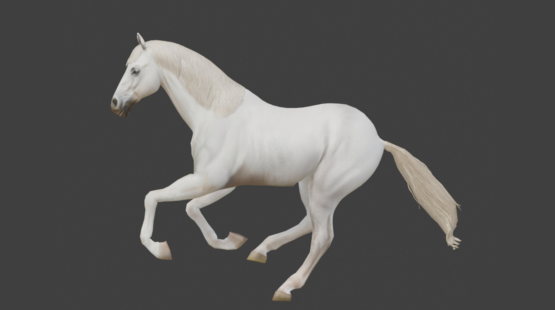  3D Model Running White Horse Low-poly 3D model_5