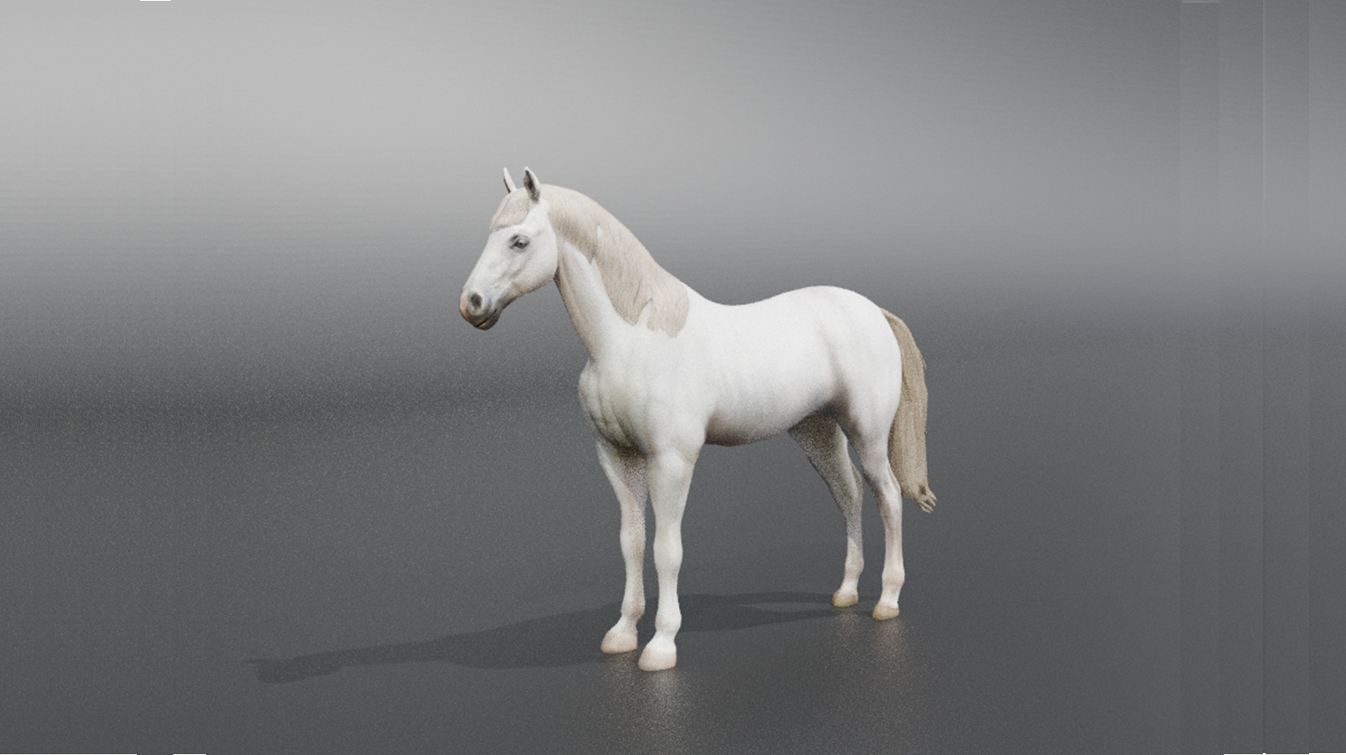  3D Model Running White Horse Low-poly 3D model_21