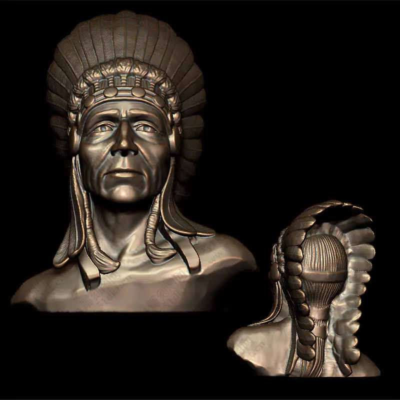 Half-body Indian man portrait 3D print model 3D print model_0