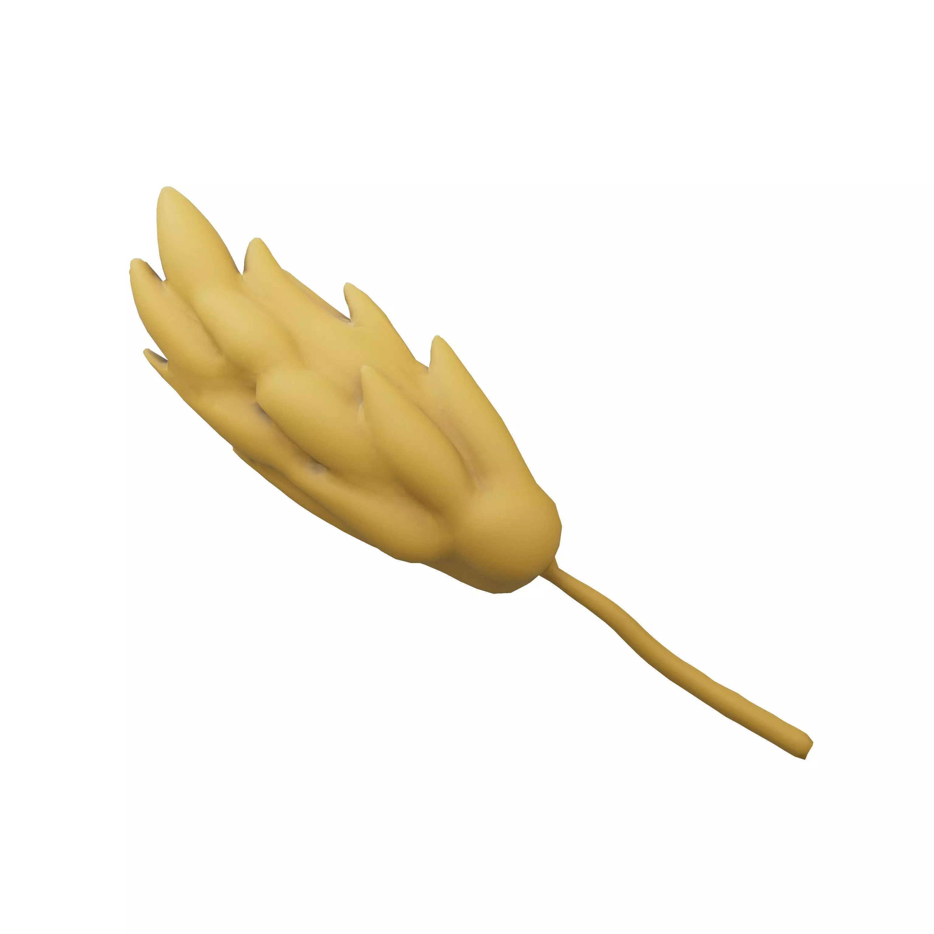Wheat Blossom Icon v1 001 Low-poly 3D model_0