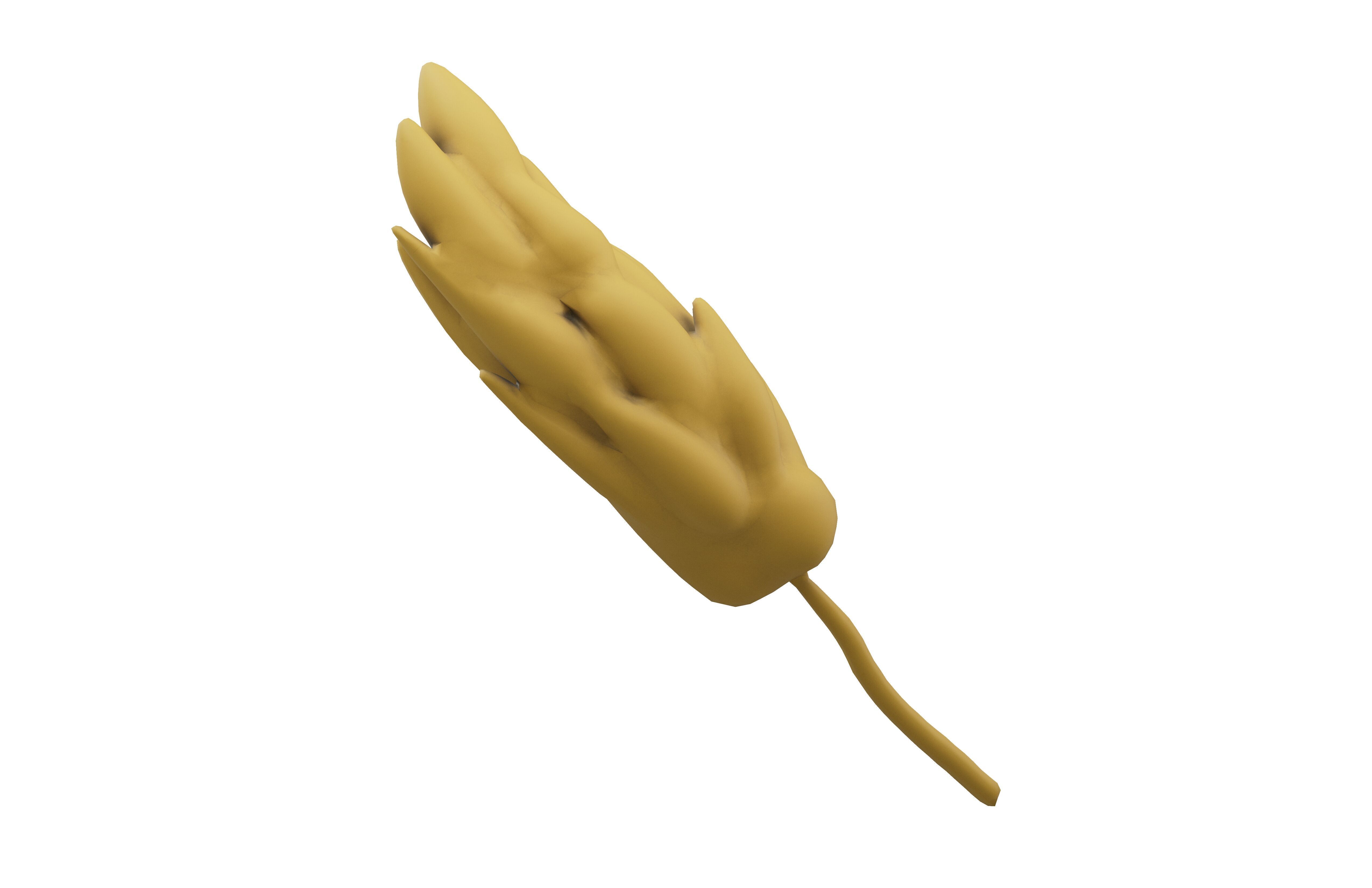 Wheat Blossom Icon v1 001 Low-poly 3D model_3