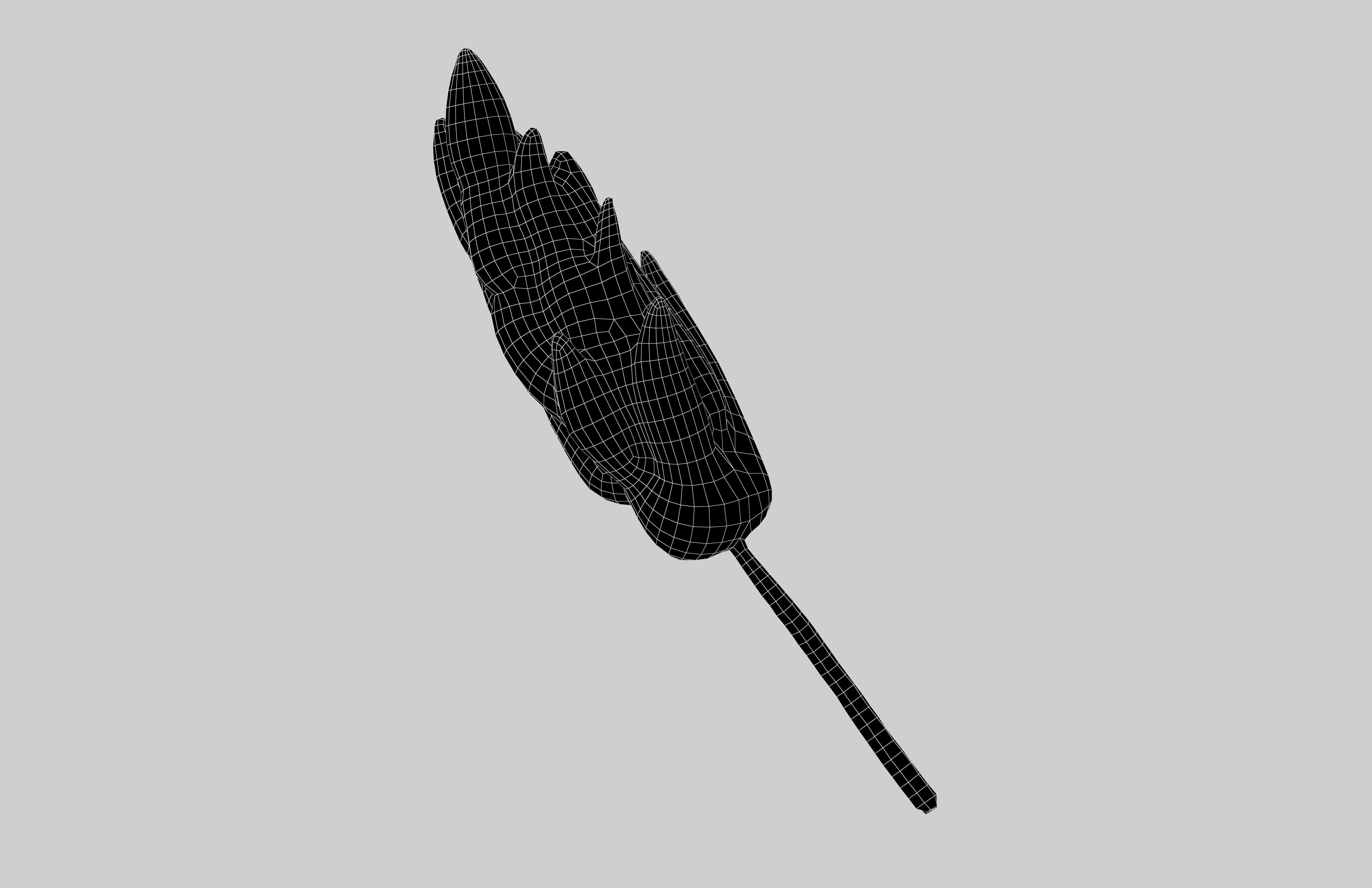 Wheat Blossom Icon v1 001 Low-poly 3D model_7