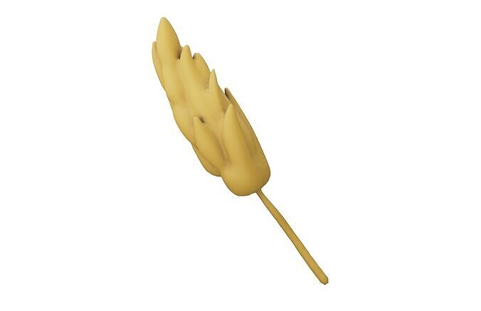 Wheat Blossom Icon v1 001 Low-poly 3D model 3