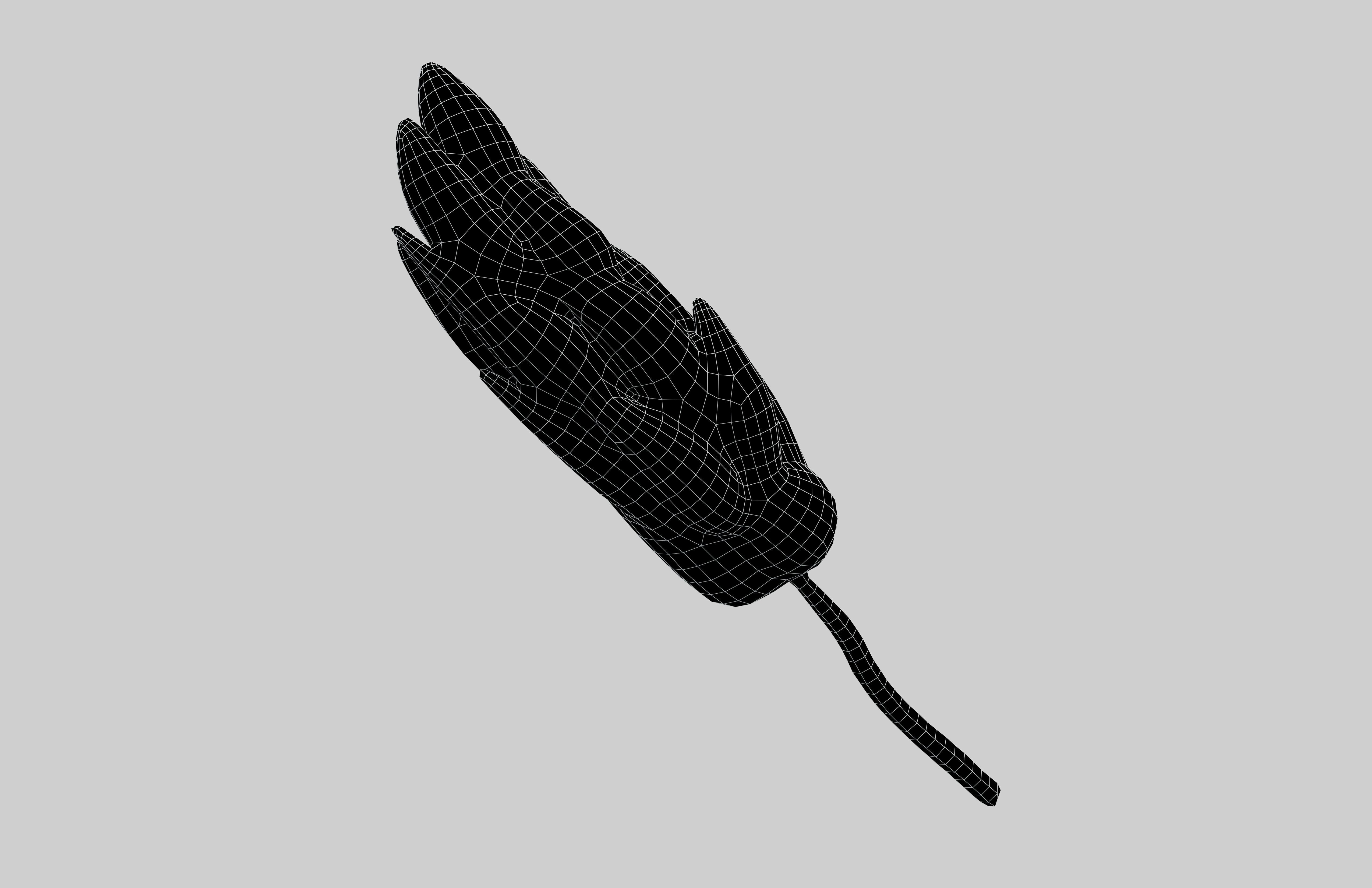 Wheat Blossom Icon v1 001 Low-poly 3D model_5