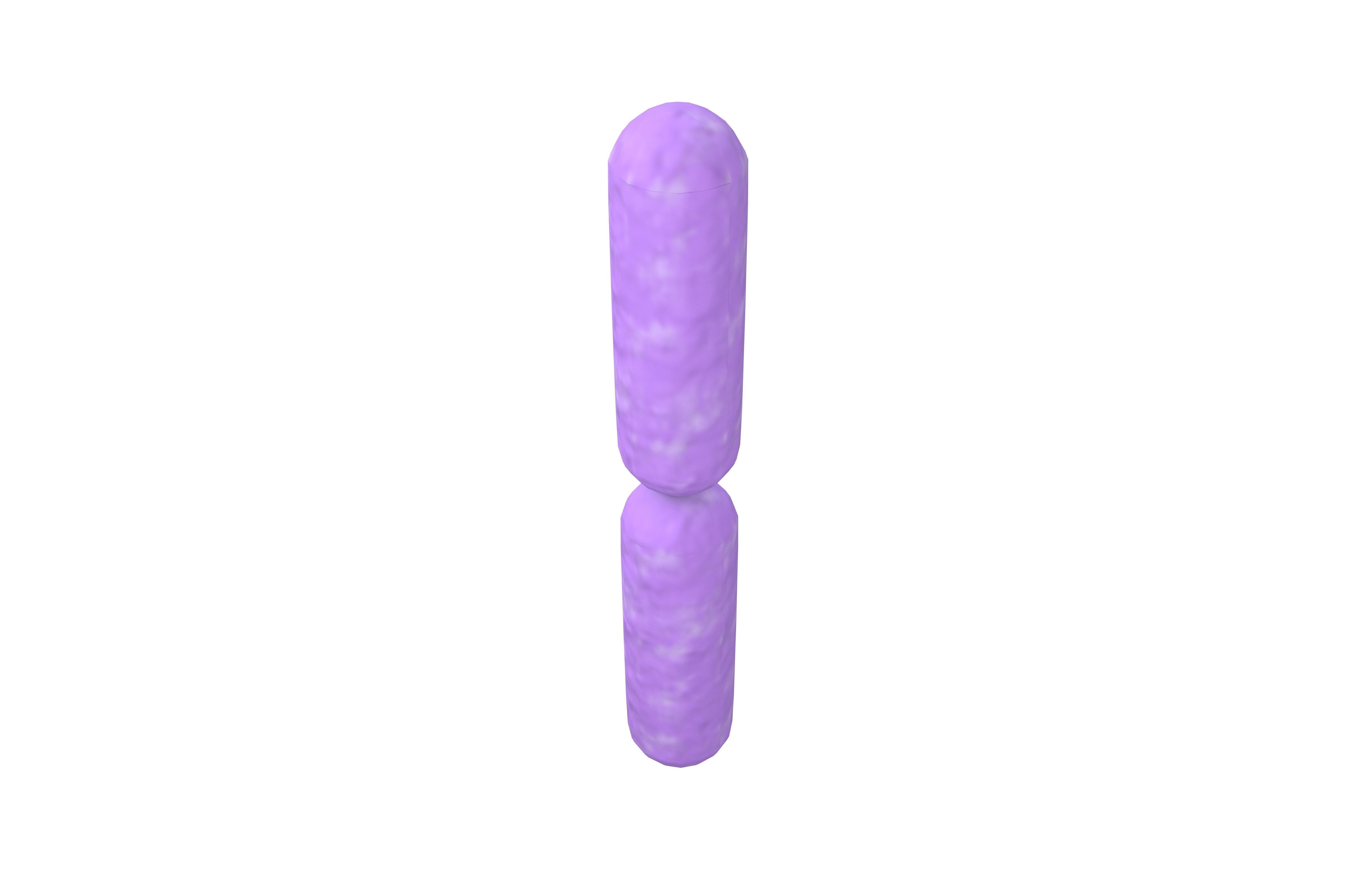 Bacteria v4 001 Low-poly 3D model_1
