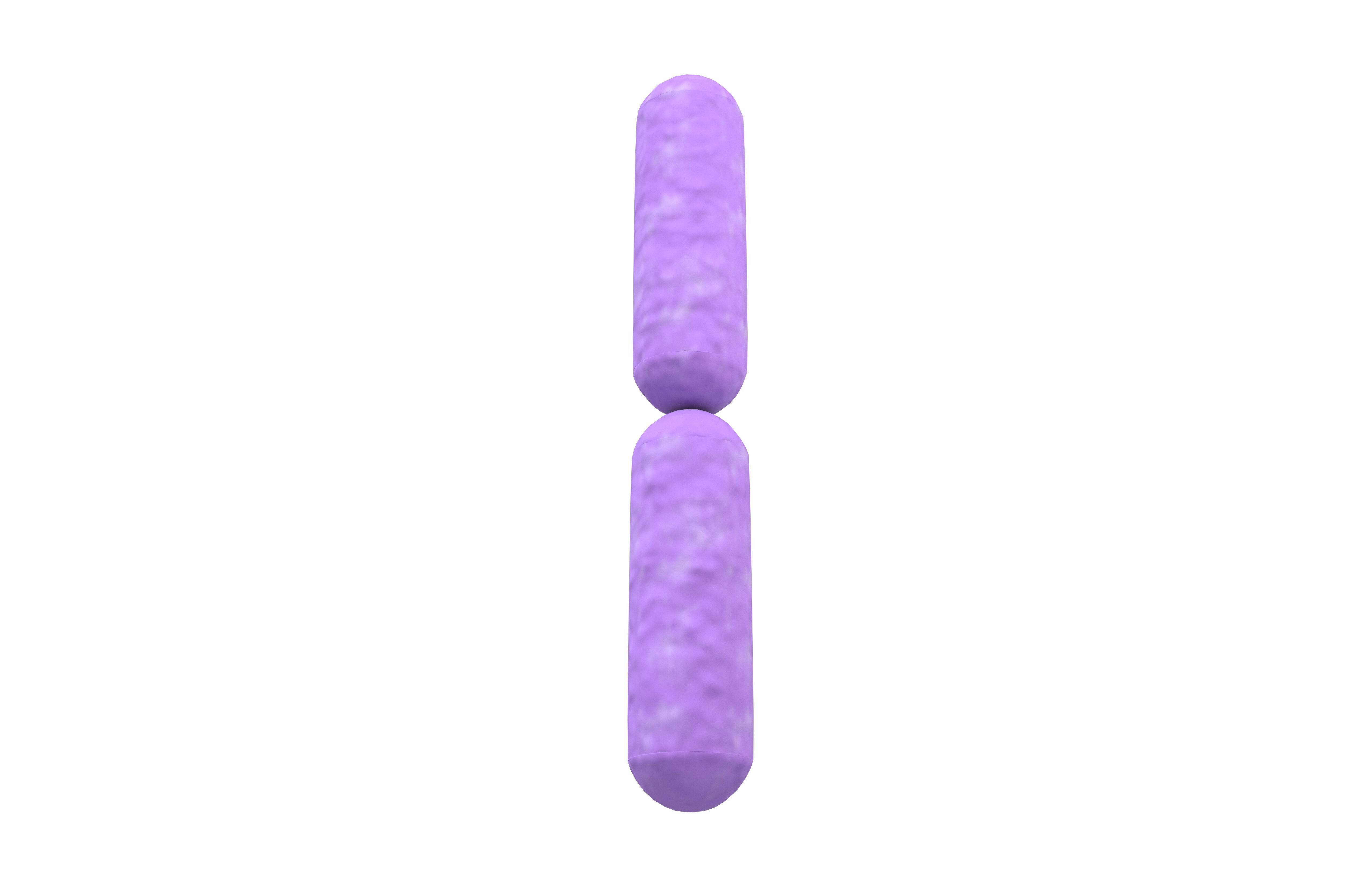 Bacteria v4 001 Low-poly 3D model_2