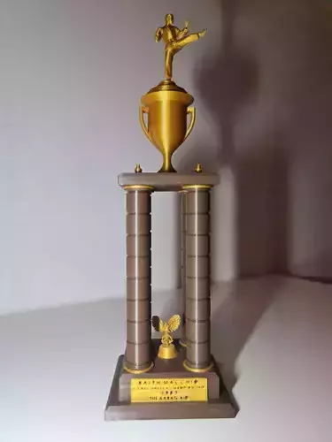 Karate kid All valley trophy 