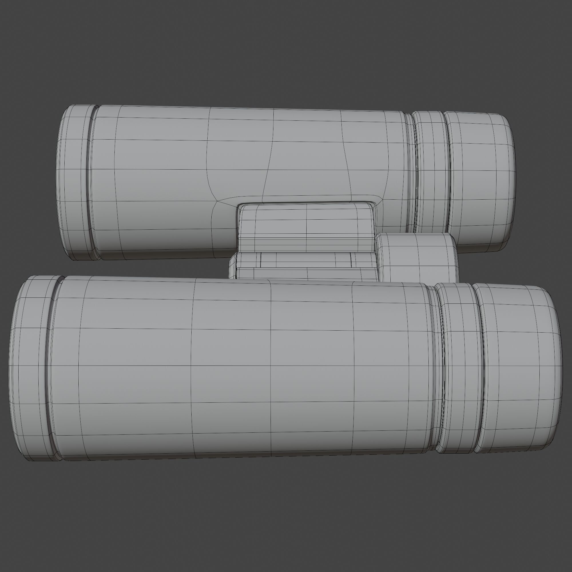Binocular 3D model_13