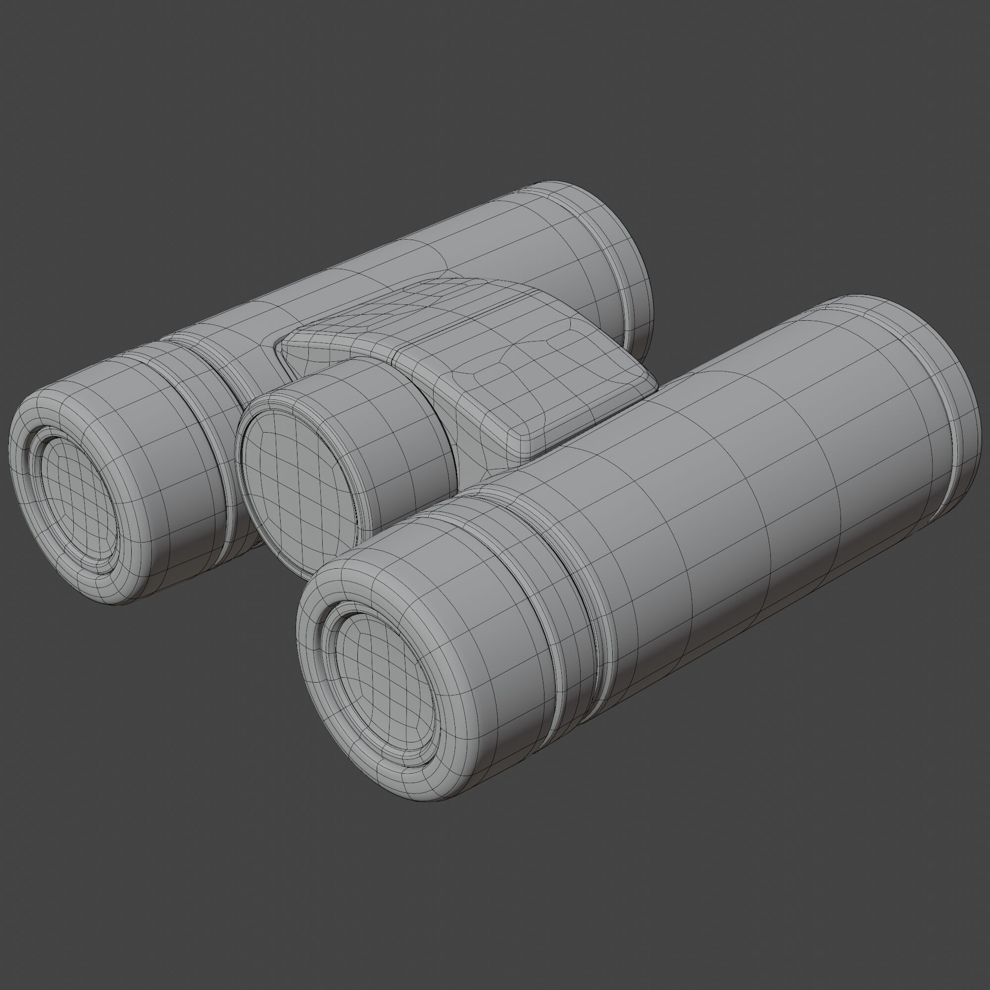 Binocular 3D model_10