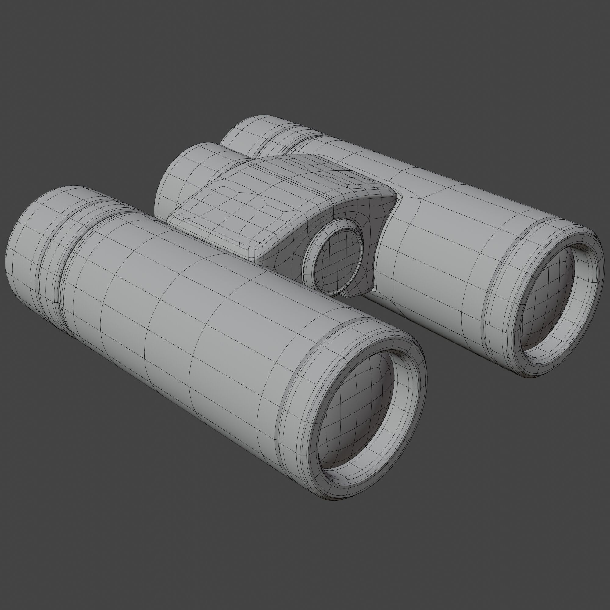 Binocular 3D model_8