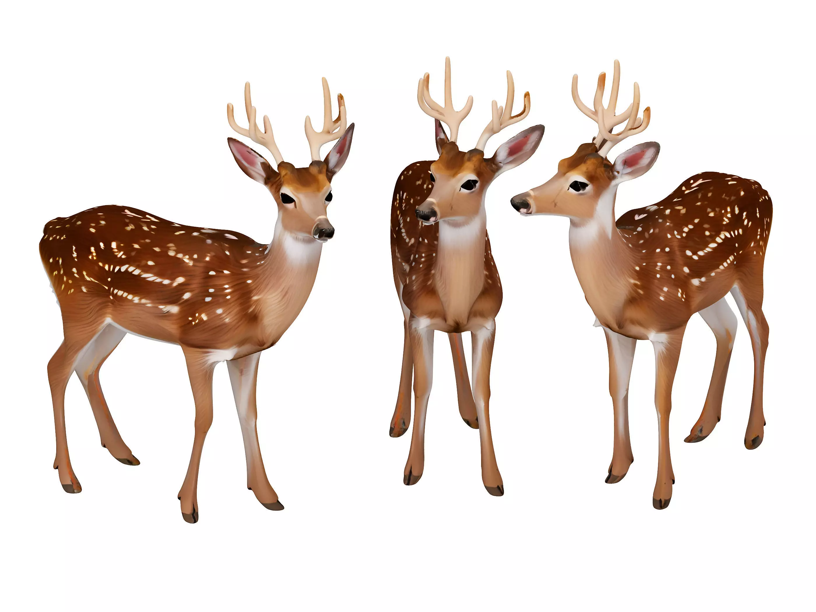 sika deer 3D model_0