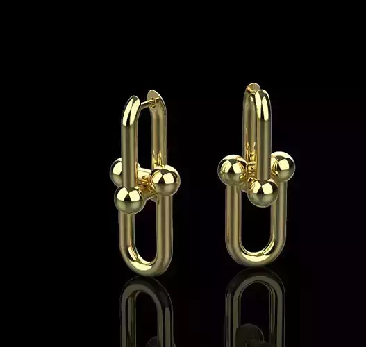 Earrings 51260