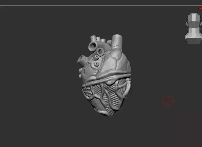 Human Heart Pendant 50927