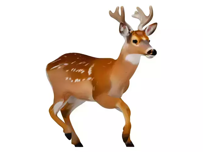 sika deer 3D model