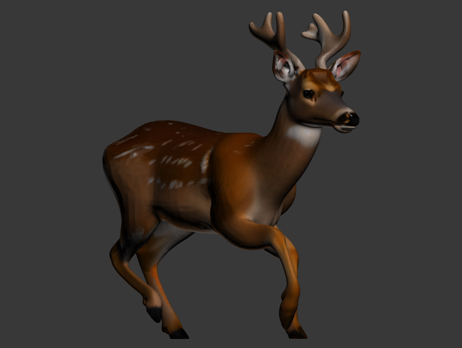 mammal 3D model_1