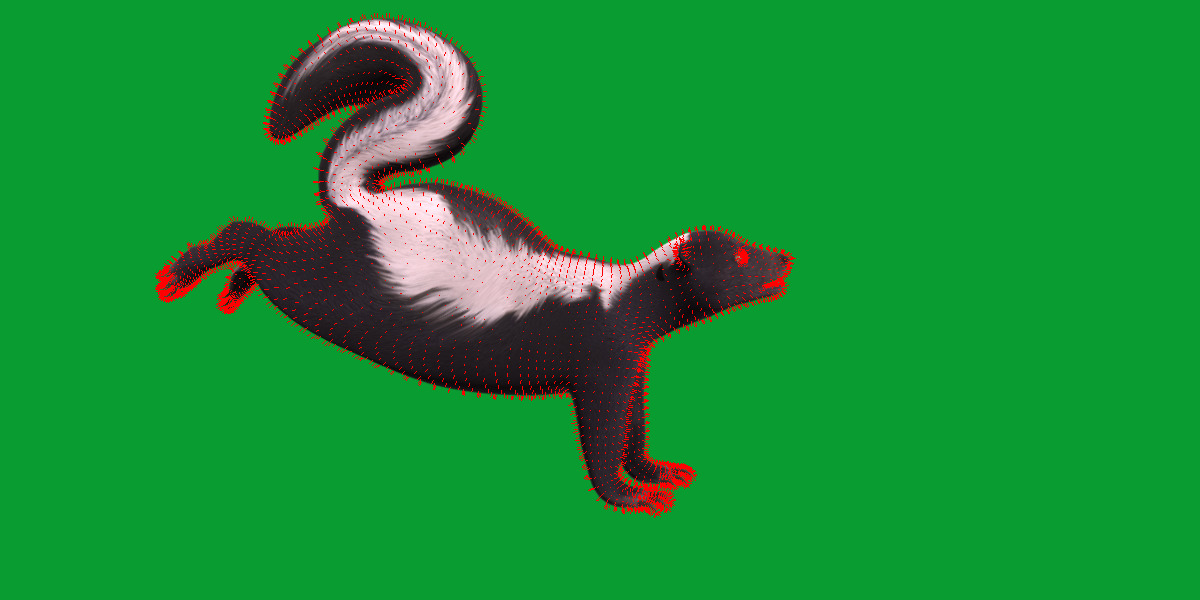 Striped Skunk Low-poly 3D model_23