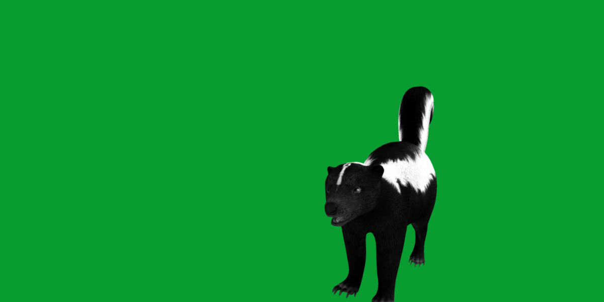 Striped Skunk Low-poly 3D model_15