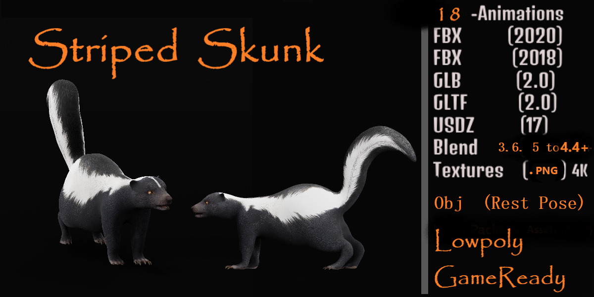 Striped Skunk Low-poly 3D model_2