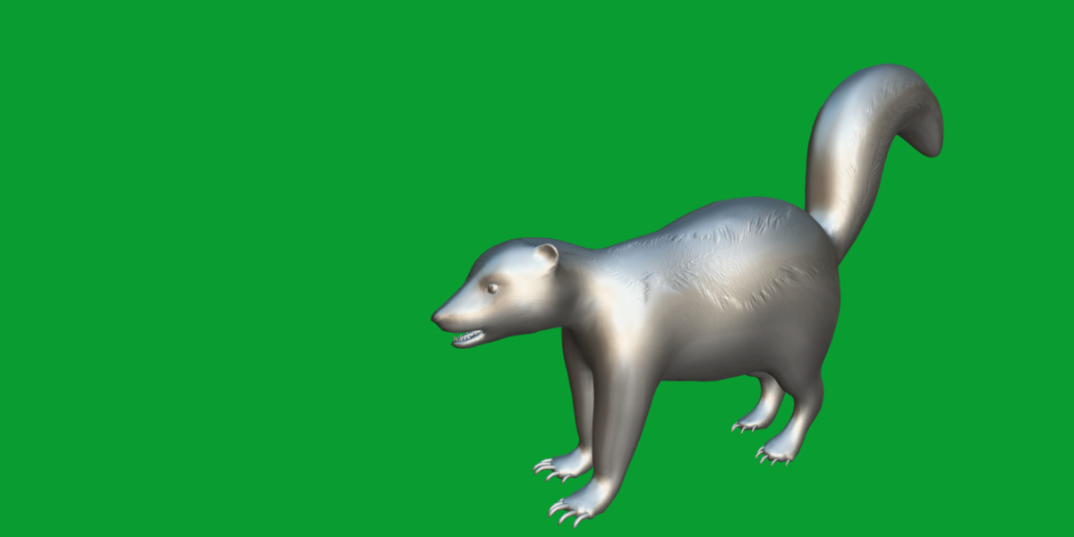Striped Skunk Low-poly 3D model_18