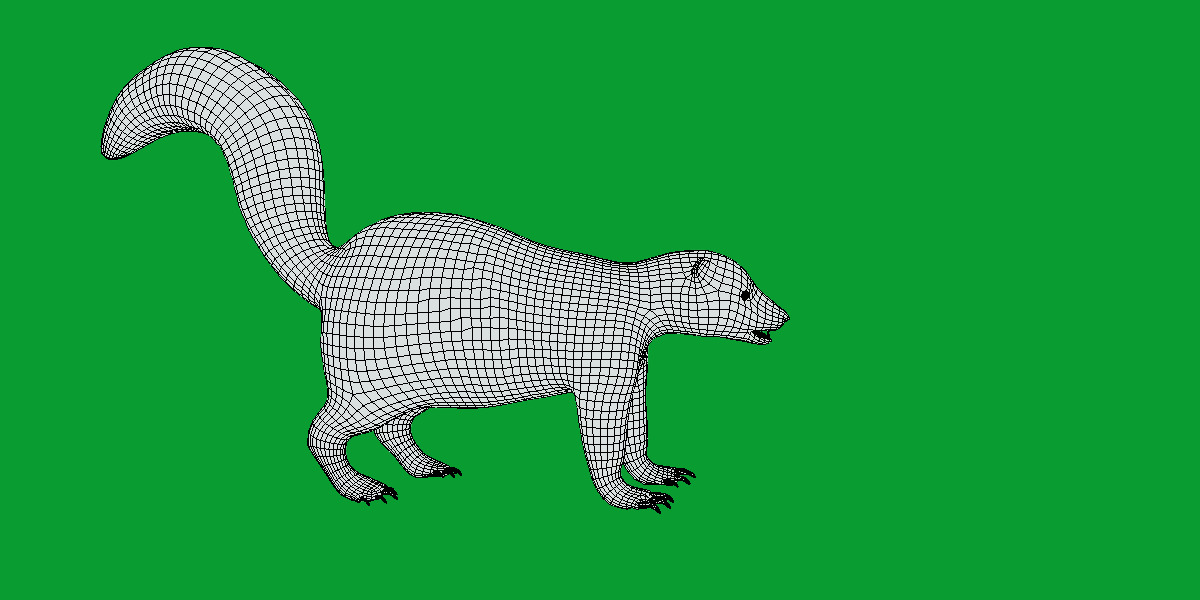 Striped Skunk Low-poly 3D model_21