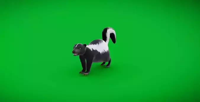 Striped Skunk Low-poly 3D model