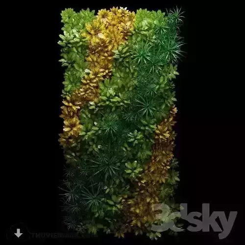 Wall Plants