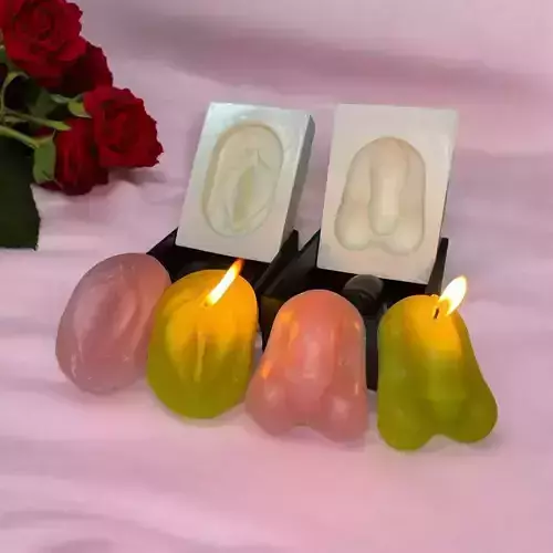Kit Mold anatomy penis and vagina 3D print model