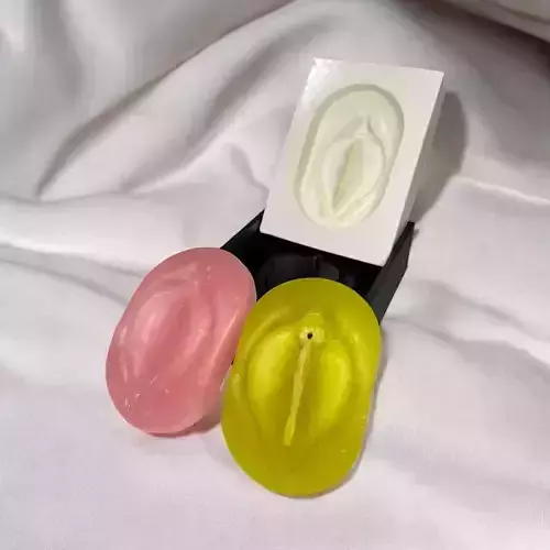 Mold anatomy vagina 3D print model