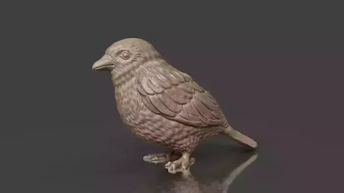 Little Bird Sparrow 3D print model