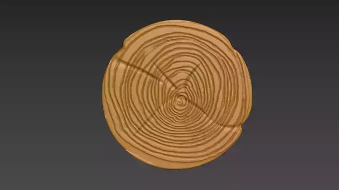 Wood Slice Stump Cut trunk Tree cross-section